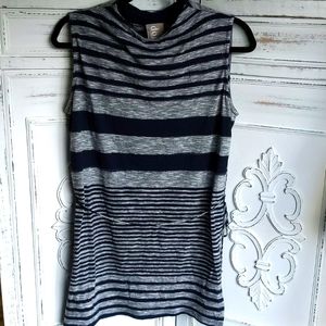 Dolan for Anthropologie Blue and Gray Striped Tunic Shirt